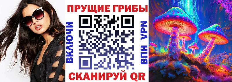 Псилоцибиновые грибы мухоморы  что такое   это какой сайт  Благовещенск 